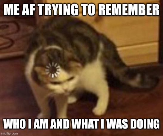 404 not found | ME AF TRYING TO REMEMBER; WHO I AM AND WHAT I WAS DOING | image tagged in loading cat,error 404,who am i,what | made w/ Imgflip meme maker