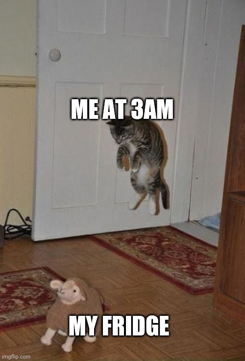 Me at 3am: |  ME AT 3AM; MY FRIDGE | image tagged in dank memes | made w/ Imgflip meme maker
