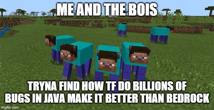 i like bedrock more than java by a lot | ME AND THE BOIS; TRYNA FIND HOW TF DO BILLIONS OF BUGS IN JAVA MAKE IT BETTER THAN BEDROCK | image tagged in me and the boys | made w/ Imgflip meme maker