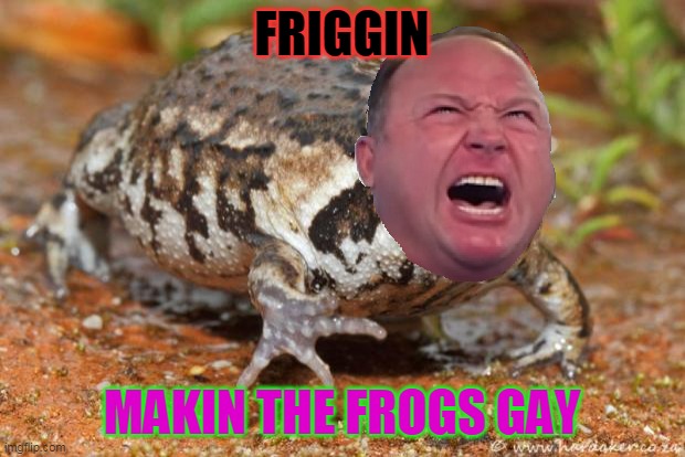 Toadally Angry | FRIGGIN; MAKIN THE FROGS GAY | image tagged in frog,alex jones | made w/ Imgflip meme maker