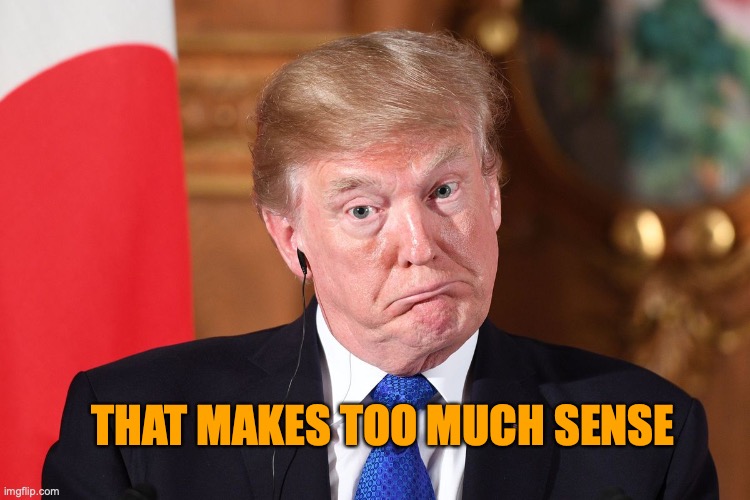 Trump stupid dumb befuddled dumbfounded out of his dapth | THAT MAKES TOO MUCH SENSE | image tagged in trump stupid dumb befuddled dumbfounded out of his dapth | made w/ Imgflip meme maker