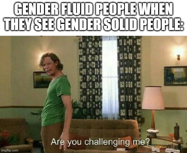 E | GENDER FLUID PEOPLE WHEN THEY SEE GENDER SOLID PEOPLE: | image tagged in are you challenging me | made w/ Imgflip meme maker