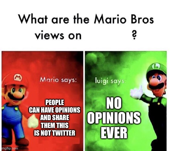 Mario Bros Views | PEOPLE CAN HAVE OPINIONS AND SHARE THEM THIS IS NOT TWITTER; NO OPINIONS EVER | image tagged in mario bros views | made w/ Imgflip meme maker