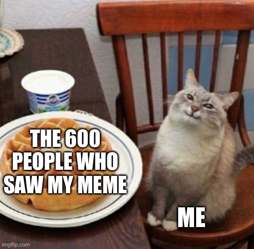 Thank you! :) | THE 600 PEOPLE WHO SAW MY MEME; ME | image tagged in cat likes their waffle,thank you | made w/ Imgflip meme maker