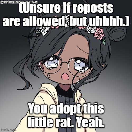 Age ranges from 2-6. Pick your poison. No romance, ew. | (Unsure if reposts are allowed, but uhhhh.); You adopt this little rat. Yeah. | made w/ Imgflip meme maker