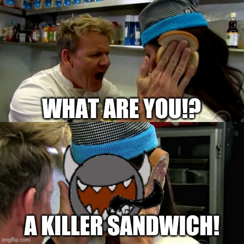 Gordon Ramsay Idiot Sandwich | WHAT ARE YOU!? A KILLER SANDWICH! | image tagged in gordon ramsay idiot sandwich | made w/ Imgflip meme maker