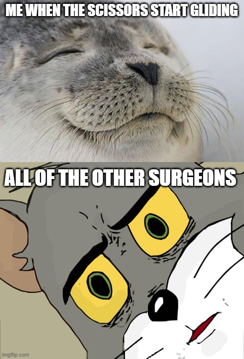 Plot twist 100 | ME WHEN THE SCISSORS START GLIDING; ALL OF THE OTHER SURGEONS | image tagged in memes,satisfied seal,unsettled tom,surgeon,dark humor | made w/ Imgflip meme maker