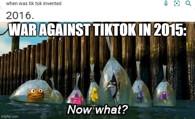 WAR AGAINST TIKTOK IN 2015: | image tagged in now what | made w/ Imgflip meme maker
