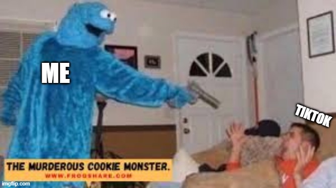 cookie |  ME; TIKTOK | image tagged in cookie,meme | made w/ Imgflip meme maker