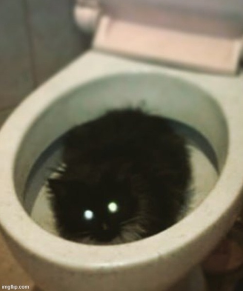 why are there so many cursed toilet images | made w/ Imgflip meme maker