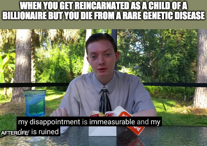 My Disappointment Is Immeasurable | WHEN YOU GET REINCARNATED AS A CHILD OF A BILLIONAIRE BUT YOU DIE FROM A RARE GENETIC DISEASE; AFTERLIFE | image tagged in my disappointment is immeasurable | made w/ Imgflip meme maker