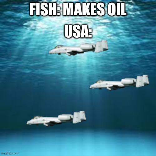 sea raid | USA:; FISH: MAKES OIL | image tagged in sea,a10 | made w/ Imgflip meme maker