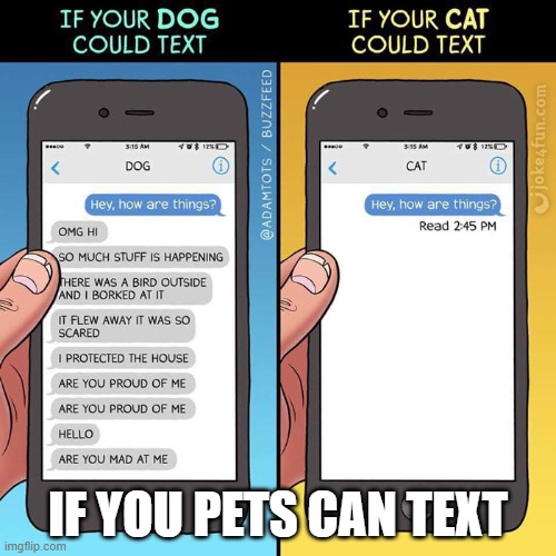 IF YOU PETS CAN TEXT | image tagged in pets,dog memes,funny dog memes,dog meme | made w/ Imgflip meme maker
