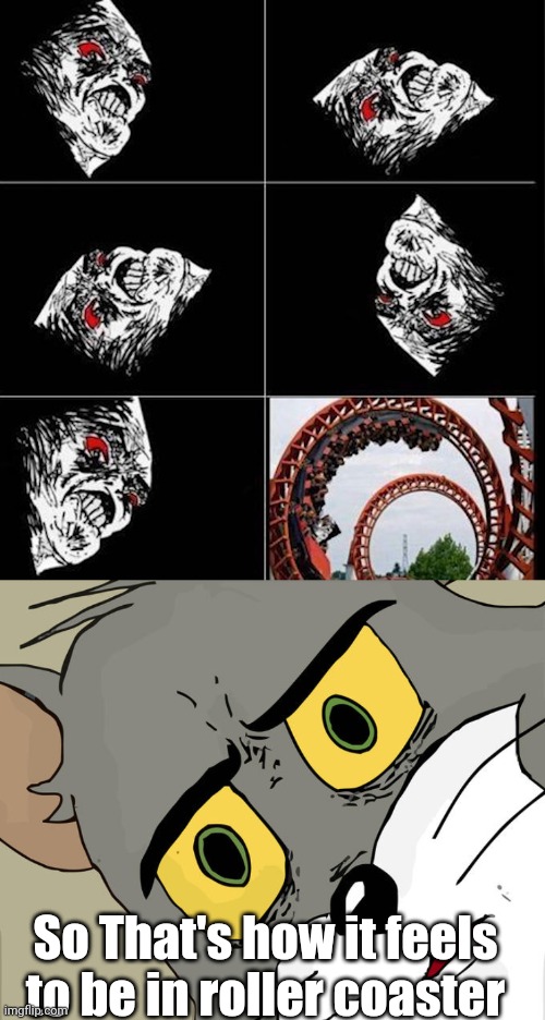 How many of you love roller coasters? | So That's how it feels to be in roller coaster | image tagged in memes,unsettled tom | made w/ Imgflip meme maker