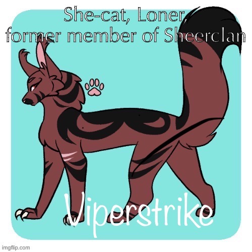 She-cat, Loner, former member of Sheerclan | made w/ Imgflip meme maker