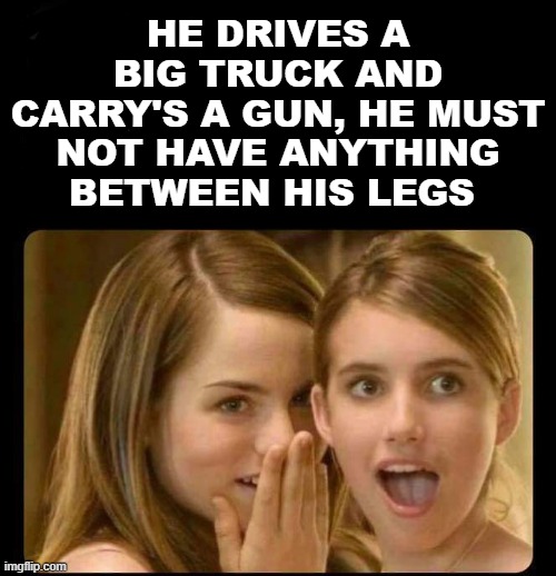 Whispering girls | HE DRIVES A BIG TRUCK AND CARRY'S A GUN, HE MUST NOT HAVE ANYTHING BETWEEN HIS LEGS | image tagged in whispering girls | made w/ Imgflip meme maker