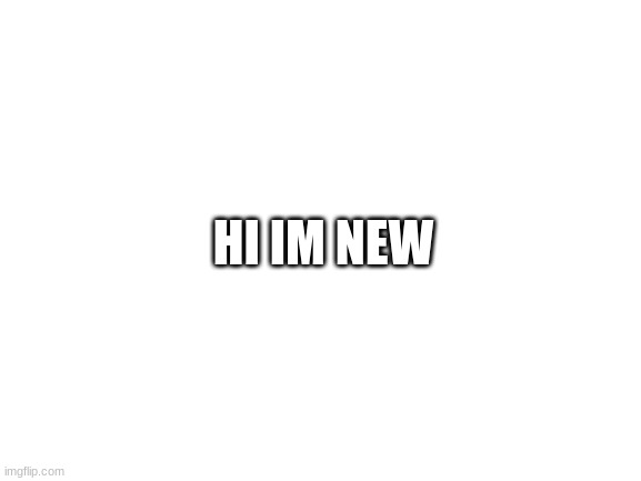 Blank White Template | HI IM NEW | image tagged in blank white template | made w/ Imgflip meme maker