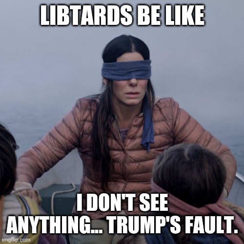 Bird Box Meme | LIBTARDS BE LIKE I DON'T SEE ANYTHING... TRUMP'S FAULT. | image tagged in memes,bird box | made w/ Imgflip meme maker