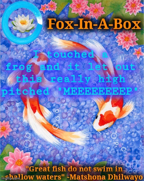 I touched a frog and it let out this really high pitched "MEEEEEEEEP" | image tagged in fox-in-a-box fish temp | made w/ Imgflip meme maker
