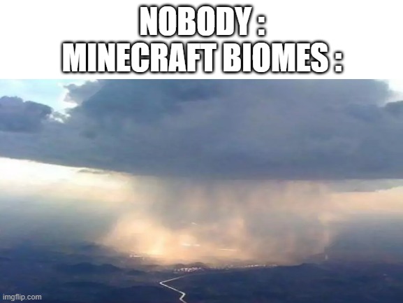 [Insert Title] | NOBODY :
MINECRAFT BIOMES : | image tagged in minecraft | made w/ Imgflip meme maker