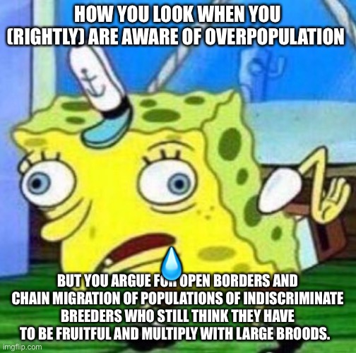 Self defeating logic | HOW YOU LOOK WHEN YOU (RIGHTLY) ARE AWARE OF OVERPOPULATION; 💧; BUT YOU ARGUE FOR OPEN BORDERS AND CHAIN MIGRATION OF POPULATIONS OF INDISCRIMINATE BREEDERS WHO STILL THINK THEY HAVE TO BE FRUITFUL AND MULTIPLY WITH LARGE BROODS. | image tagged in overpopulation,open borders,spongebob | made w/ Imgflip meme maker
