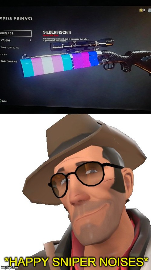 Nice gun | *HAPPY SNIPER NOISES* | image tagged in tf2,sniper,memes,wholesome,gun,gaymer | made w/ Imgflip meme maker