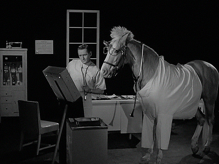 Dr. ED Blank Meme Template