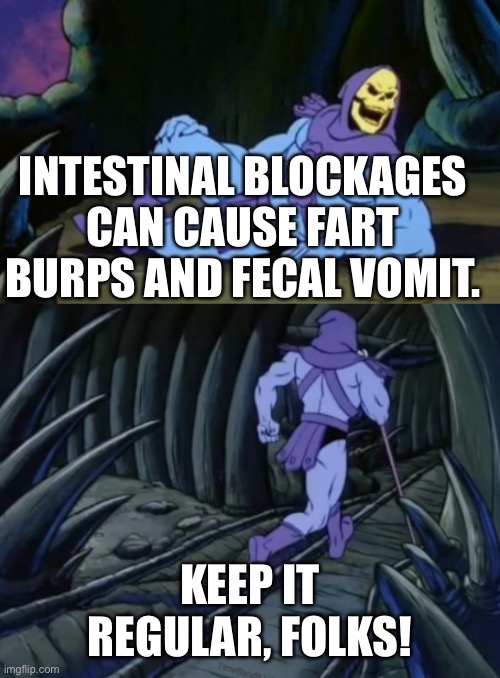Disturbing Facts Skeletor |  INTESTINAL BLOCKAGES CAN CAUSE FART BURPS AND FECAL VOMIT. KEEP IT REGULAR, FOLKS! | image tagged in disturbing facts skeletor,memes | made w/ Imgflip meme maker