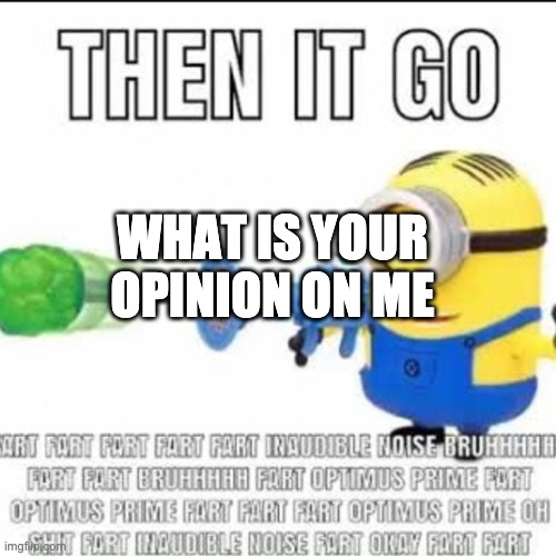 then it go | WHAT IS YOUR OPINION ON ME | image tagged in then it go | made w/ Imgflip meme maker