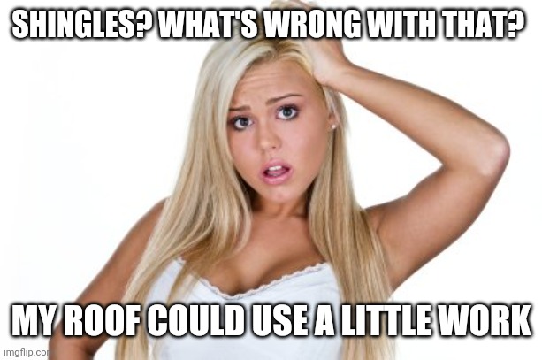 Dumb Blonde | SHINGLES? WHAT'S WRONG WITH THAT? MY ROOF COULD USE A LITTLE WORK | image tagged in dumb blonde | made w/ Imgflip meme maker