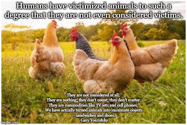 Victims | Humans have victimized animals to such a degree that they are not even considered victims. They are not considered at all. 
They are nothing; they don’t count; they don’t matter.
They are commodities like TV sets and cell phones. 
We have actually turned animals into inanimate objects
– sandwiches and shoes.
 Gary Yourofsky | image tagged in vegan,compassion,meat,bacon,eggs,milk | made w/ Imgflip meme maker