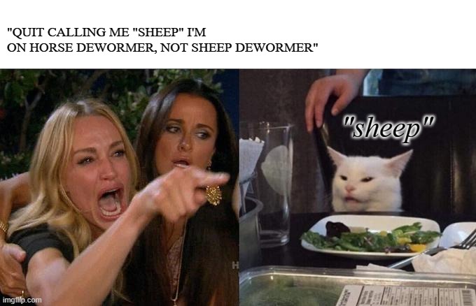 Woman Yelling At Cat | "QUIT CALLING ME "SHEEP" I'M ON HORSE DEWORMER, NOT SHEEP DEWORMER"; "sheep" | image tagged in memes,woman yelling at cat | made w/ Imgflip meme maker