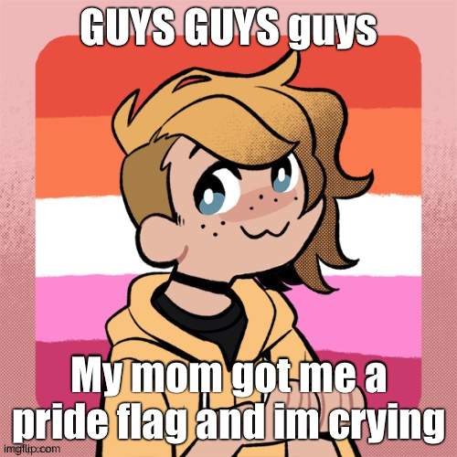 GUYS GUYS guys; My mom got me a pride flag and im crying | image tagged in hey look it s bean | made w/ Imgflip meme maker