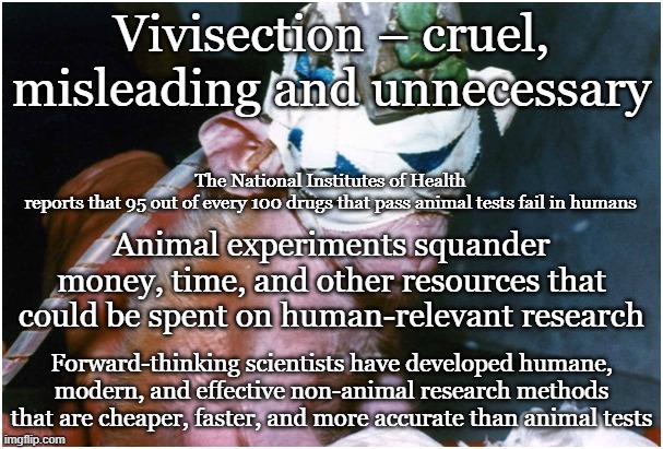 Vivisection | Animal experiments squander money, time, and other resources that could be spent on human-relevant research; Forward-thinking scientists have developed humane, modern, and effective non-animal research methods that are cheaper, faster, and more accurate than animal tests | image tagged in vegan,science,medical,lab,experiment,animals | made w/ Imgflip meme maker