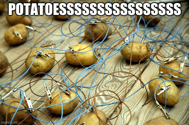 potato servers | POTATOESSSSSSSSSSSSSSSS | image tagged in potato servers | made w/ Imgflip meme maker