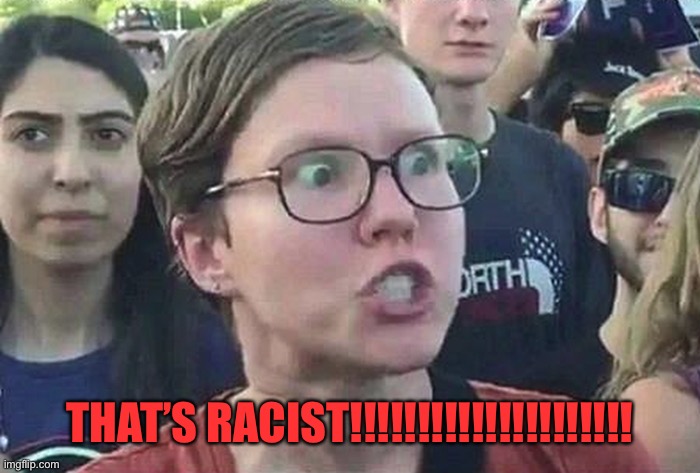 Triggered Liberal | THAT’S RACIST!!!!!!!!!!!!!!!!!!!!! | image tagged in triggered liberal | made w/ Imgflip meme maker