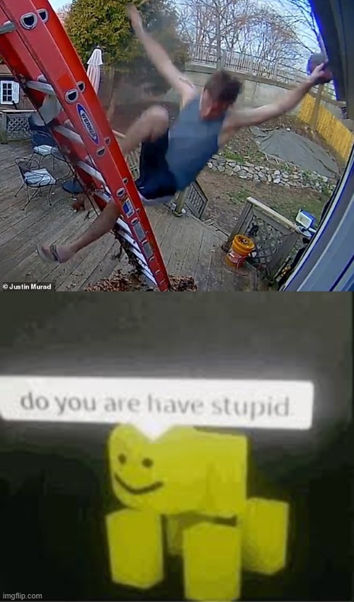 image tagged in do you are have stupid | made w/ Imgflip meme maker