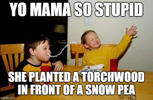 Only PvZ players will get this | YO MAMA SO STUPID; SHE PLANTED A TORCHWOOD IN FRONT OF A SNOW PEA | image tagged in memes,yo mamas so fat,pvz,gaming,video games | made w/ Imgflip meme maker