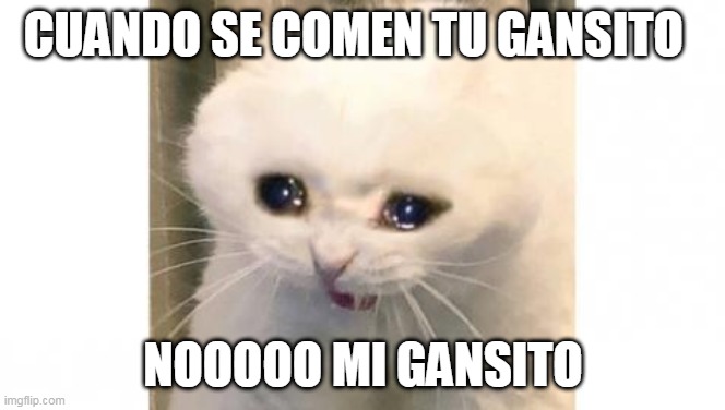 CUANDO SE COMEN TU GANSITO; NOOOOO MI GANSITO | made w/ Imgflip meme maker