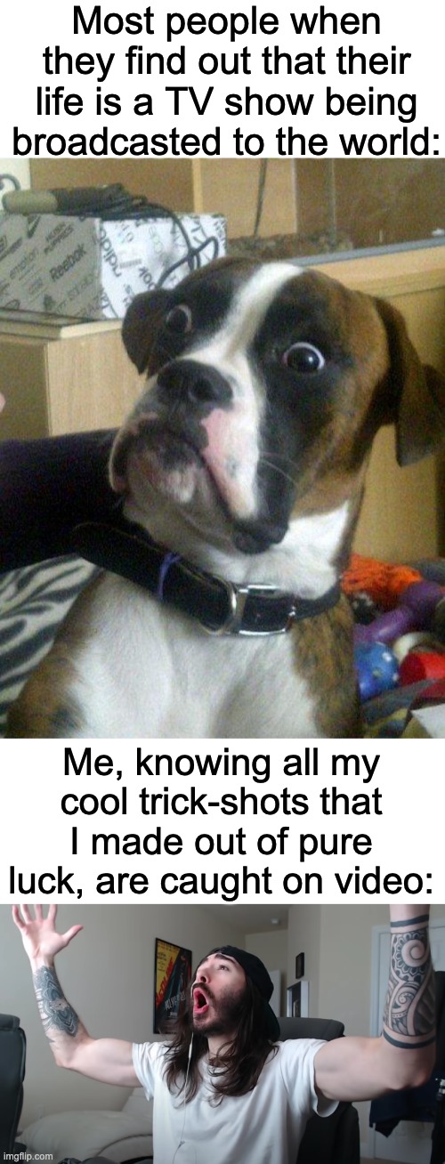 YES! I HAVE PROOF I DID IT |  Most people when they find out that their life is a TV show being broadcasted to the world:; Me, knowing all my cool trick-shots that I made out of pure luck, are caught on video: | image tagged in blankie the shocked dog,charlie woooh,memes,unfunny | made w/ Imgflip meme maker
