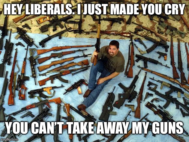 Gonna cry liberals? | HEY LIBERALS. I JUST MADE YOU CRY; YOU CAN’T TAKE AWAY MY GUNS | image tagged in guns,political meme,politics,2nd amendment | made w/ Imgflip meme maker