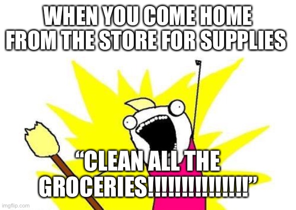 X All The Y Meme | WHEN YOU COME HOME FROM THE STORE FOR SUPPLIES; “CLEAN ALL THE GROCERIES!!!!!!!!!!!!!!!” | image tagged in memes,x all the y | made w/ Imgflip meme maker