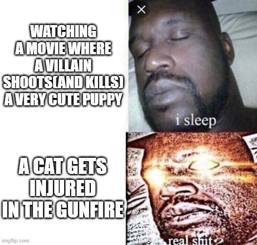 i sleep real shit | WATCHING A MOVIE WHERE A VILLAIN SHOOTS(AND KILLS) A VERY CUTE PUPPY; A CAT GETS INJURED IN THE GUNFIRE | image tagged in i sleep real shit,memes,cats,puppy | made w/ Imgflip meme maker