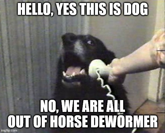We are out | HELLO, YES THIS IS DOG; NO, WE ARE ALL OUT OF HORSE DEWORMER | image tagged in hello this is dog | made w/ Imgflip meme maker