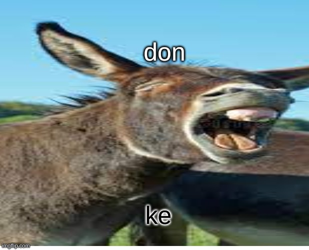 danky | don; ke | image tagged in laughing donkey | made w/ Imgflip meme maker