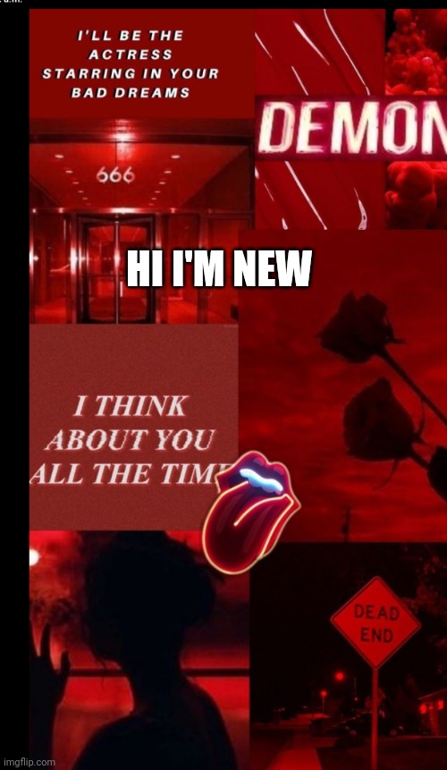 Queen | HI I'M NEW | image tagged in queen | made w/ Imgflip meme maker