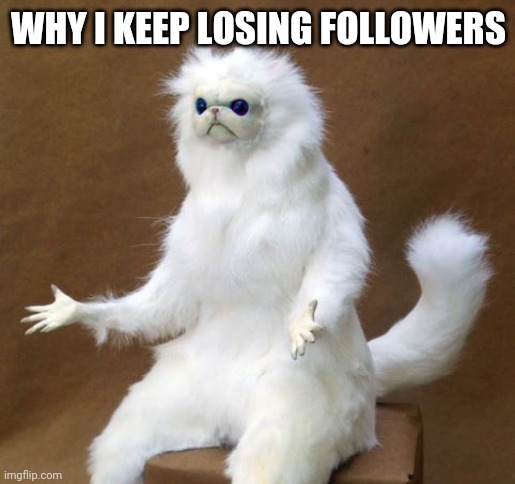 R ppl deleting rn? | WHY I KEEP LOSING FOLLOWERS | image tagged in what the heck cat | made w/ Imgflip meme maker