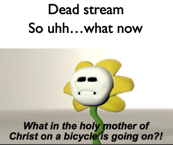 Can we host a party | Dead stream; So uhh…what now | image tagged in flowey | made w/ Imgflip meme maker