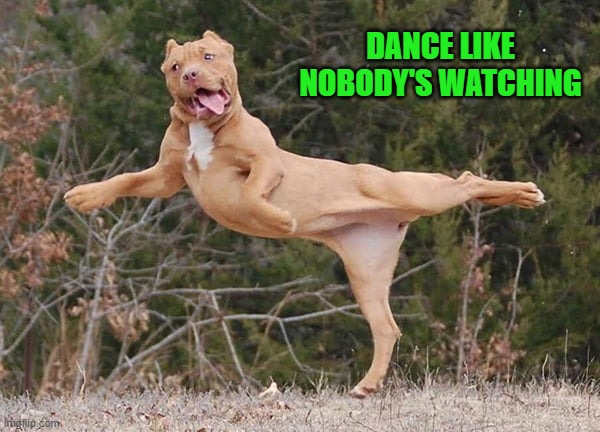 DANCE LIKE NOBODY'S WATCHING | made w/ Imgflip meme maker