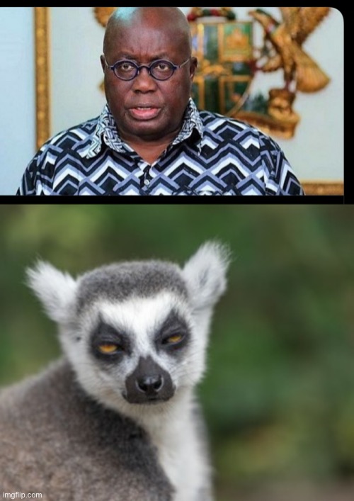 Jhayjhay | image tagged in funny memes | made w/ Imgflip meme maker